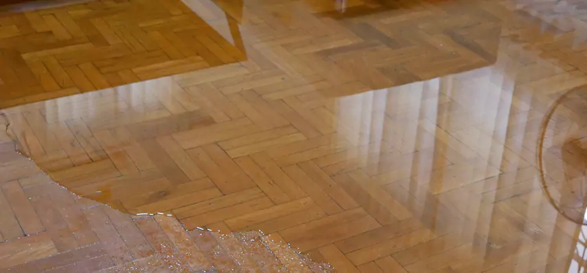 Laminate Wood Floor Water Damage Repair in Frontier